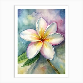 Frangipani 1 Art Print