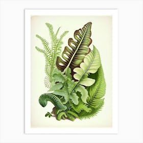 Snail With Fern Leaves Botanical Art Print