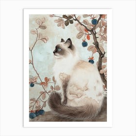 Ragdoll Cat Japanese Illustration 4 Art Print