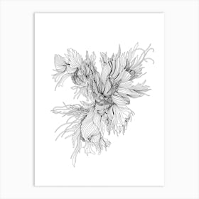 Night Rooster Linear Drawing Art Print