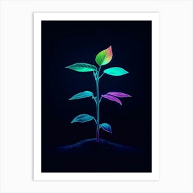 Plant Growing In The Dark 4 Art Print