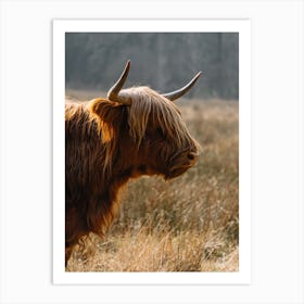 Highland Cow in the field | colorful travel photography 1 Art Print