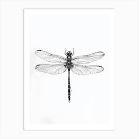 B&W Dragonfly Art Print