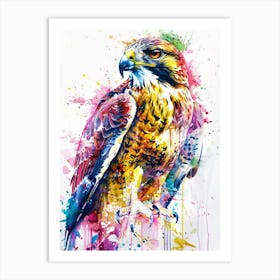 Hawk Colourful Watercolour 4 Art Print