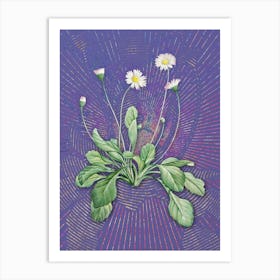 Vintage Daisy Flowers Botanical Illustration on Veri Peri n.0953 Art Print