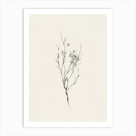 Branch Of Flowers Art Print