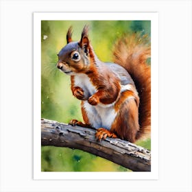 American Red Squirrel Art Print