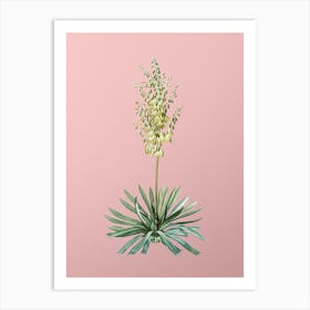 Vintage Adam's Needle Botanical on Soft Pink n.0940 Art Print