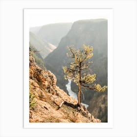 Over The Canyon Art Print