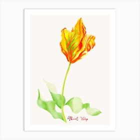 Parrot Tulip Painting 2 Art Print