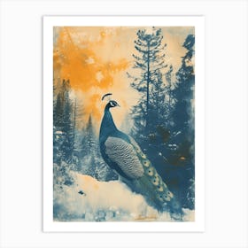 Orange & Blue Peacock In A Snow Scene 4 Art Print