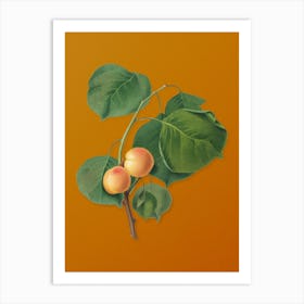 Vintage Yellow Apricot Botanical on Sunset Orange n.0745 Art Print