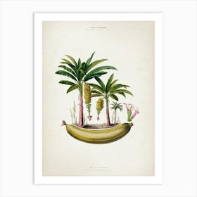 Vintage Denisse 6 Musa Banana Art Print