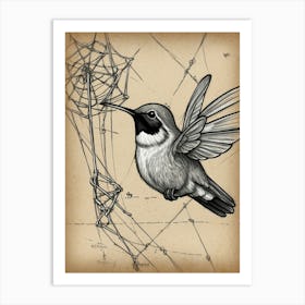 Hummingbird 4 Art Print