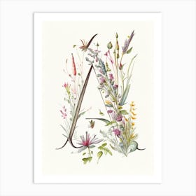 A, Letter, Alphabet Quentin Blake Illustration Art Print