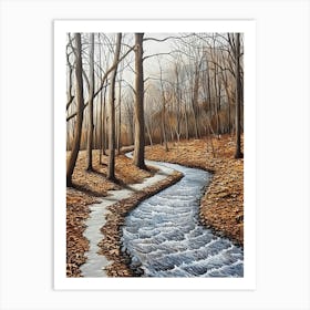 Stream In The Woods 4 Art Print