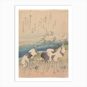 Ashi Clam, From The Series Genroku Kasen Kai Awase, Katsushika Hokusai Art Print
