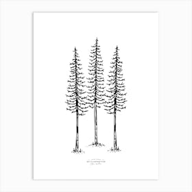 Lonely Pines Fineline Illustration Art Print
