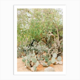 Cactus Garden California  Art Print