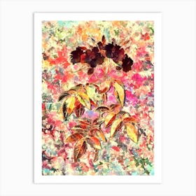 Impressionist Musk Rose Botanical Painting in Blush Pink and Gold 1 Art Print