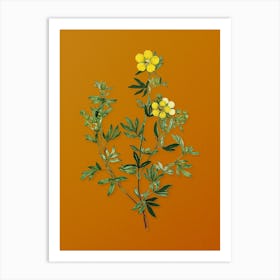 Vintage Yellow Buttercup Flowers Botanical on Sunset Orange n.0835 Art Print