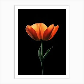 Orange Tulip 2 Art Print