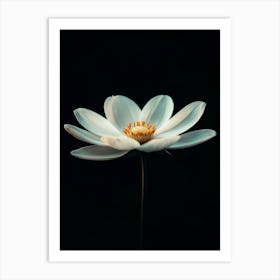 Lotus Flower 16 Art Print