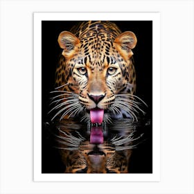 Leopard Drinking Water Art Print