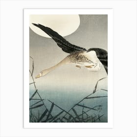 White Fronted Goose At Full Moon (1900 1930), Ohara Koson Art Print