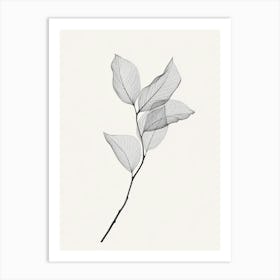 Leaf On A Branch 2 Art Print