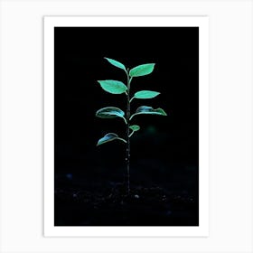 Young Tree In The Dark 1 Art Print