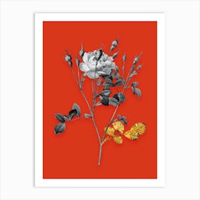 Vintage Anemone Sweetbriar Rose Black and White Gold Leaf Floral Art on Tomato Red n.0944 Art Print