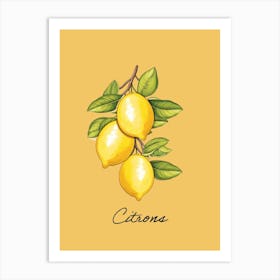 Citrons, Lemons Kitchen Art Print Art Print