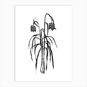 Lily Of The Valley Art Print 1 Art Print