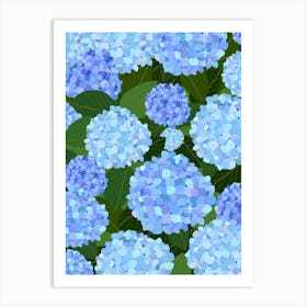 Light Blue Hydrangeas Art Print