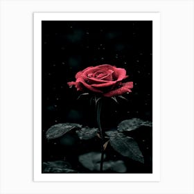 Dark Rose 80 Art Print