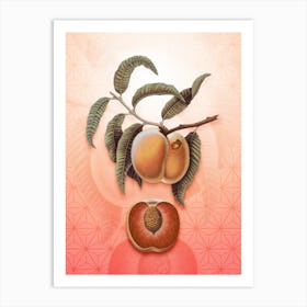 Carrot Peach Vintage Botanical in Peach Fuzz Asanoha Star Pattern n.0045 Art Print
