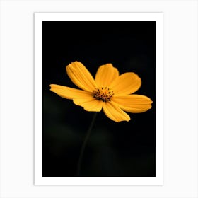 Yellow Flower 3 Art Print