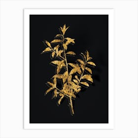 Vintage Alabama Dahoon Branch Botanical in Gold on Black n.0182 Art Print