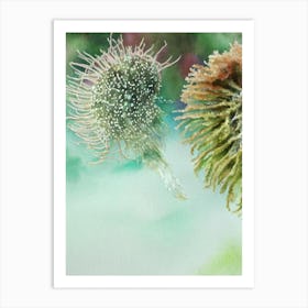 Lion'S Mane Jellyfish Storybook Watercolour Art Print