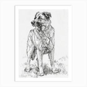 Anatolian Shepherd Dog Line Sketch 2 Art Print