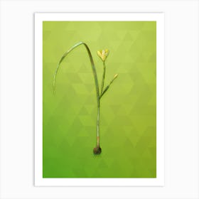 Vintage Cape Tulip Botanical Art on Love Bird Green Art Print
