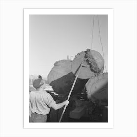 Scaler Who Measures And Determines Extent Of Rot In Logs, Tillamook, Oregon By Russell Lee Art Print