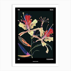 No Rain No Flowers Poster Peacock Flower 3 Art Print