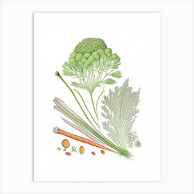 Celery Seed Spices And Herbs Pencil Illustration 1 Art Print