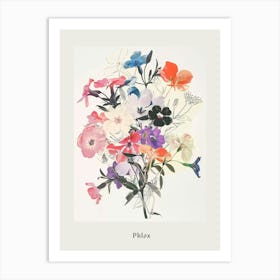 Phlox 3 Collage Flower Bouquet Poster Art Print