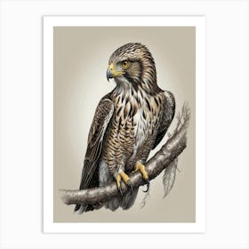 Hawk wk Art Print