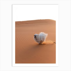 Dog running in the Sahara desert, Morocco Art Print