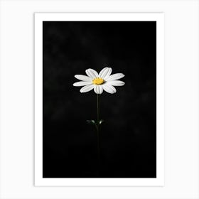 Daisy Isolated On Black Background Art Print