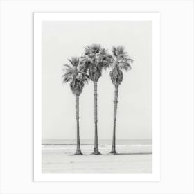 Three Palm Trees On The Beach 2 Art Print